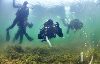 TUSUR Offers Diving Classes For International Students