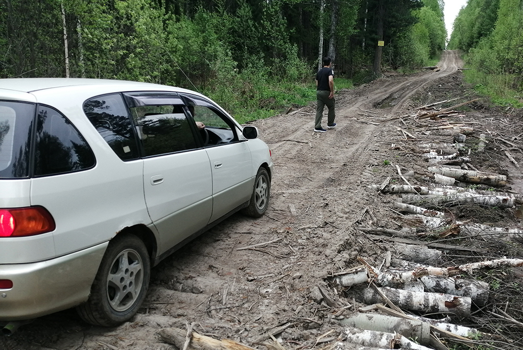 Разбойничьи сокровища и бобровые заводи: тусуровцы исследовали Шайтан-озеро