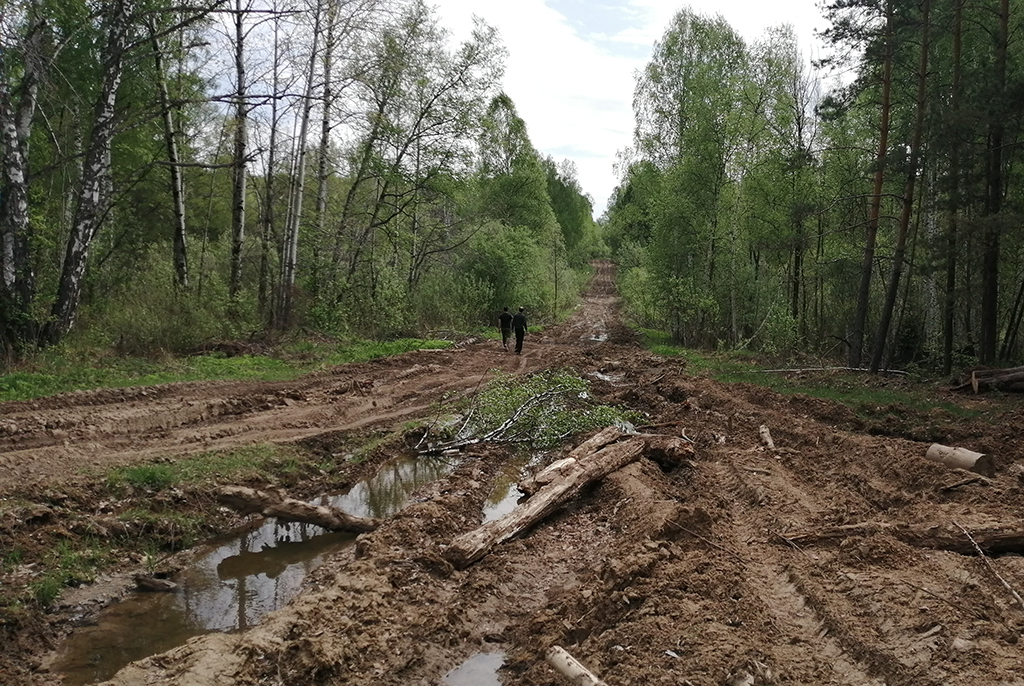 Разбойничьи сокровища и бобровые заводи: тусуровцы исследовали Шайтан-озеро