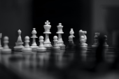 Шахматный фестиваль «Большой университет» пройдёт в ТУСУРе