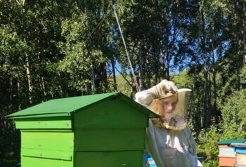 Студент ТУСУРа планирует запустить производство витаминов из пыльцы на своей пасеке