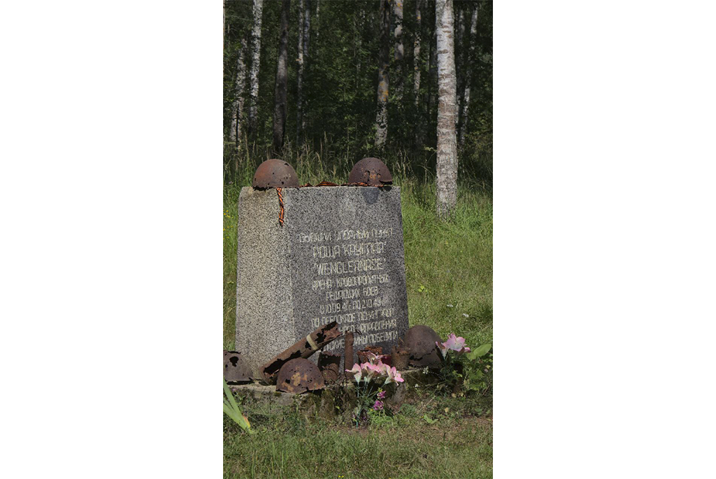 В память о героях: студенты ТУСУРа приняли участие в поисковой экспедиции в Ленинградской области