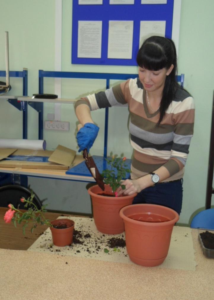 Кафедра РЭТЭМ приглашает студентов и сотрудников принять участие в проекте «Подари зимний сад ТУСУРу»