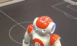 Пресс-релиз от 22 января 2015г. Студенты ТУСУР и университета Рицумейкан (Япония) в совместных проектах решали задачи социальной робототехники с использованием биометрии