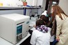 Лаборатория гетероструктурной электроники и светодиодной техники