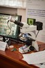Фото предоставлены пресс-службой инновационных организаций Томской области