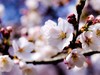 Иллюстрация: из открытых источников