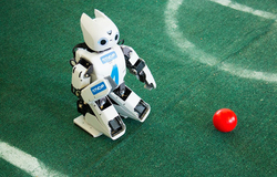 Russian Teams Participate in RoboCup World Final